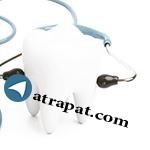دندانپزشکی زندگی من Dentistry My Life • Promotion - Business inquiries: 
・ Direct message     
