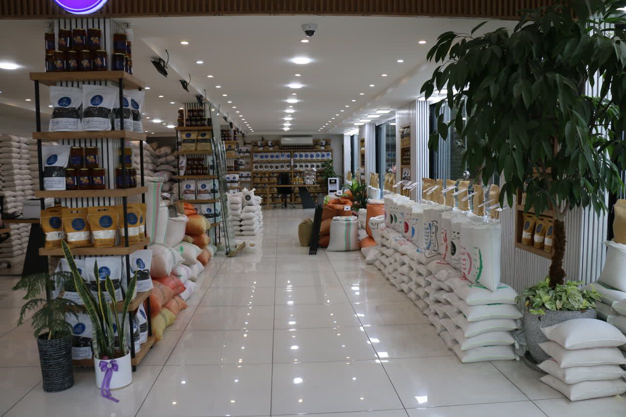 برنج و چای شریف نیا برنج آستانه-بادام استانه - چای لاهیجان-برنج اعلا-فروش عمده برنج هاشمی--برنج علی کاظمی-برنج دودی هیزمی