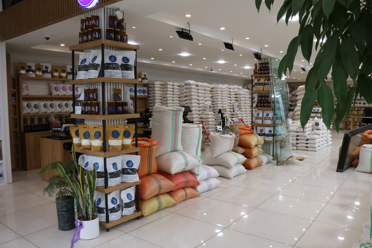 برنج و چای شریف نیا برنج آستانه-بادام استانه - چای لاهیجان-برنج اعلا-فروش عمده برنج هاشمی-