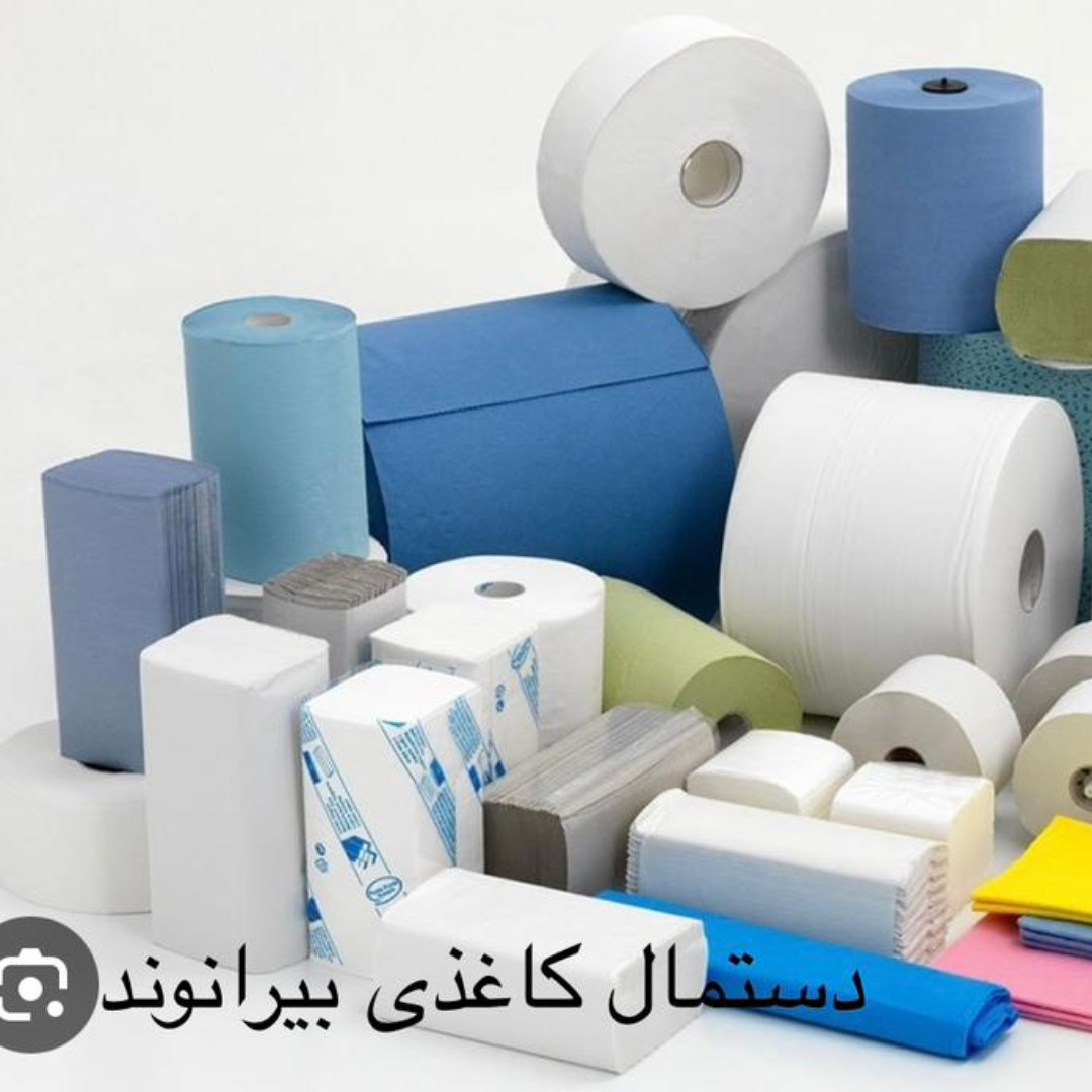 تولیدی دستمال کاغذی بیرانوند تولید دستمال کاغذی و توزیع مواد اولیه سلولزی برای صنایع؛ پوشک‌بچه، سفره یکبارمصرف و فروش ماشین‌آلات مرتبط.
